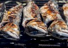 En fazla omega 3 içeren balık somon değil, uskumru!